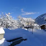 Feu De Joie By Interhome * Disentis