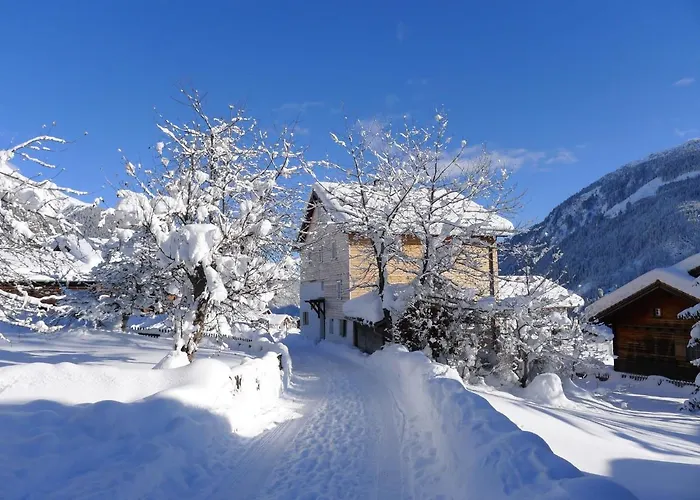 Feu De Joie By Interhome Appartement