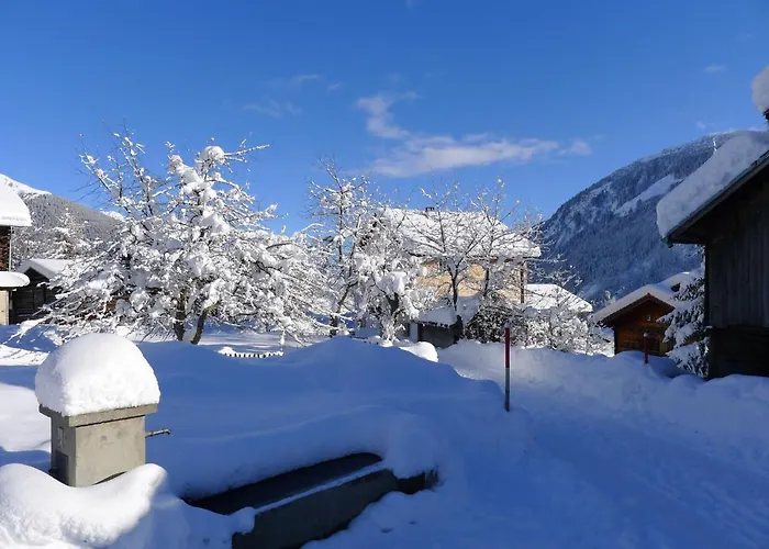 Feu De Joie By Interhome * Disentis