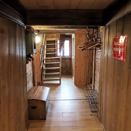 Feu De Joie By Interhome Disentis